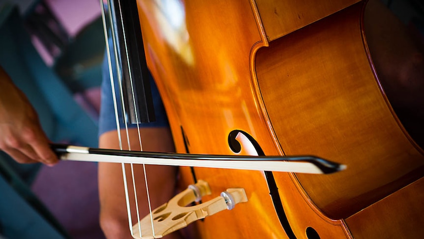 A close up of a bow across the strings of a double bass