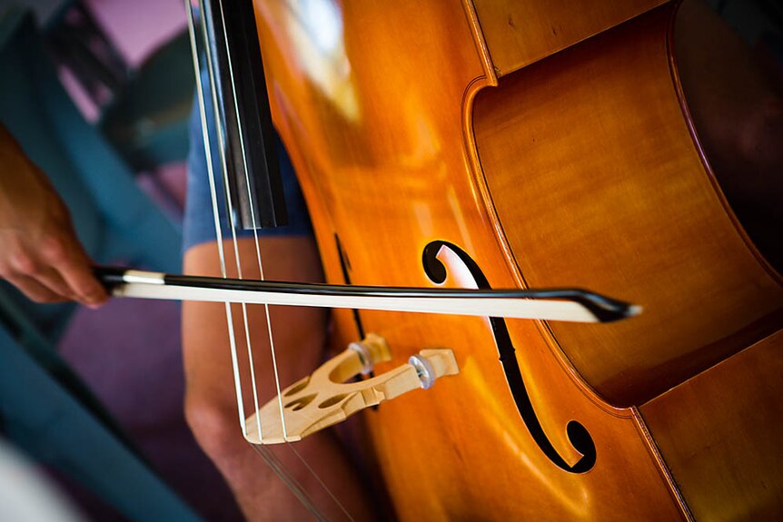 A close up of a bow across the strings of a double bass