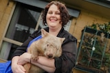 Julia Dangerfield is pictured outside wearing a blue dress and black cardigan and smiling as she holds a wombat.