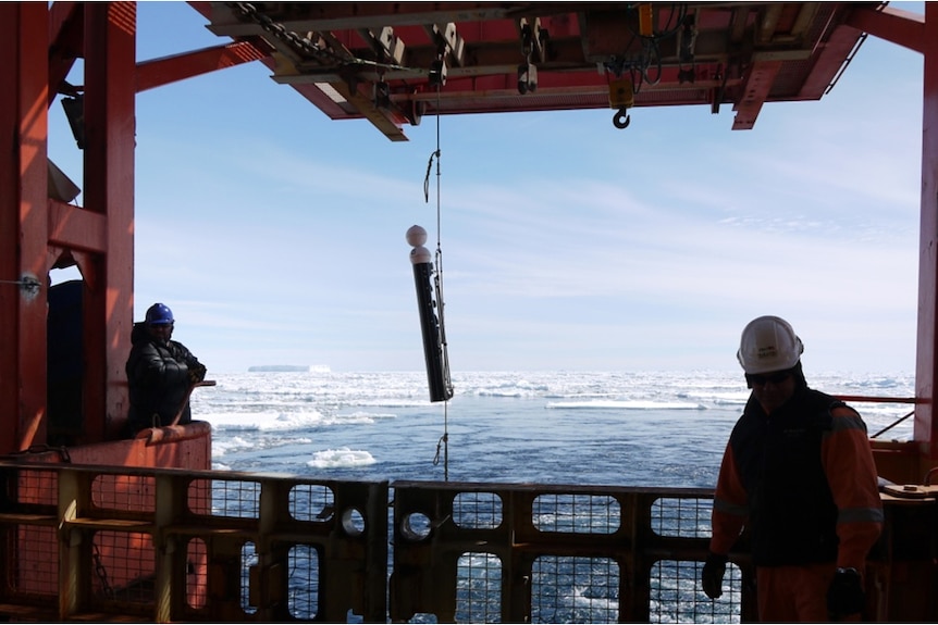 Scientists deploy a camera attached to a longline in waters off Heard and McDonald Islands.
