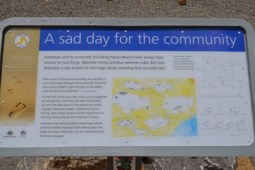 A plaque explaining the deaths of seven sperm whales that beached themselves near Ardrossan