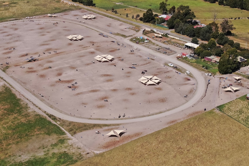 Horses on a dirt paddock seen from the air.