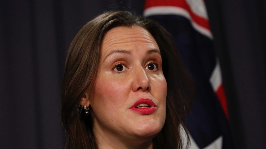 Kelly O'Dwyer speaks at a press conference