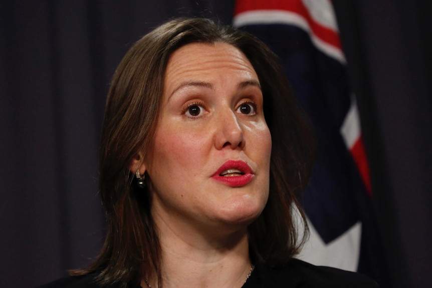 Kelly O'Dwyer speaks at a press conference
