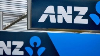 'We're working really hard as an industry': ANZ