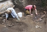 Archaeologists unearth skeletons at the Driffield Terrace site in York, where excavation work started in 2004.