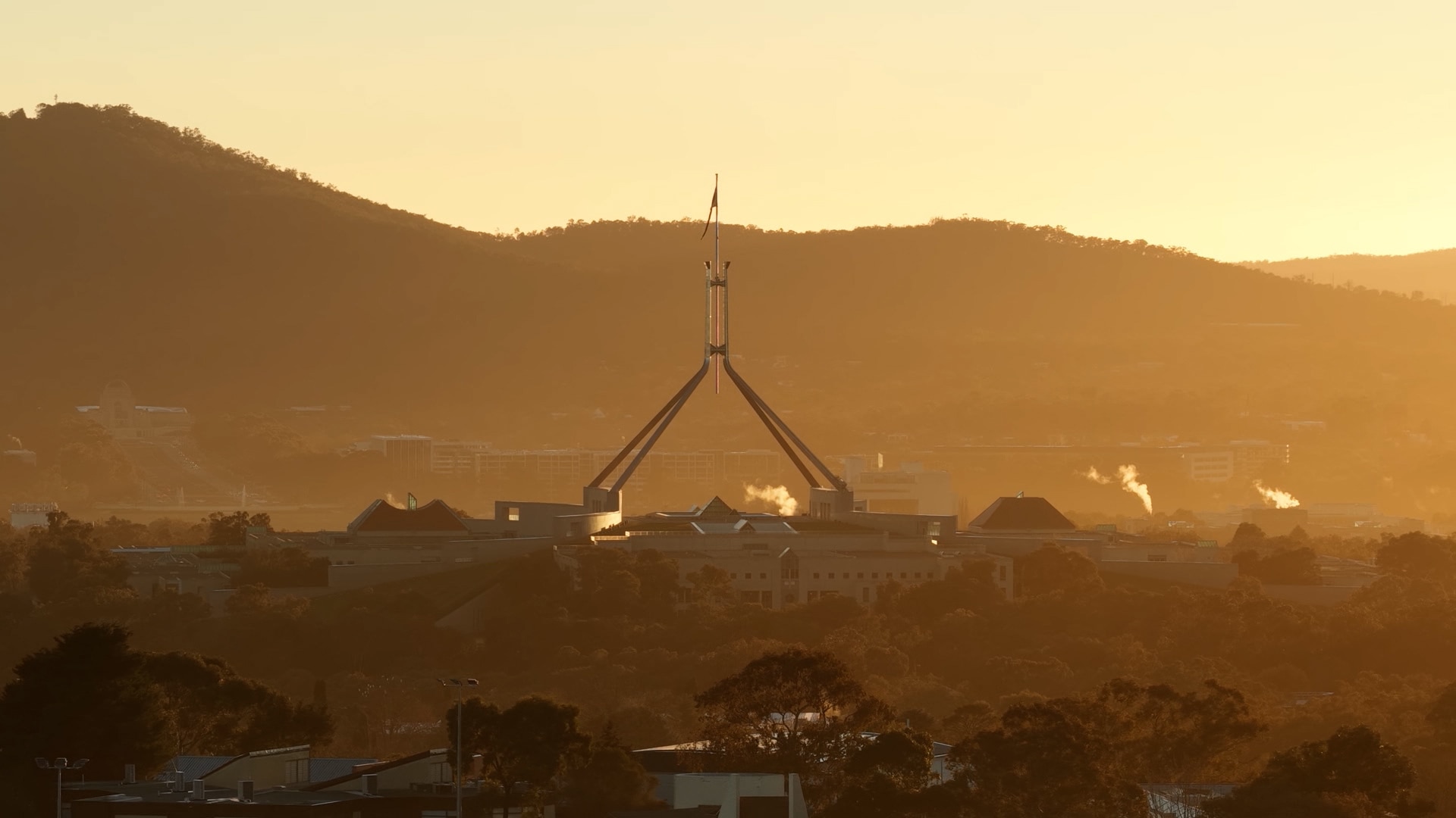 Greens make digital safety demands