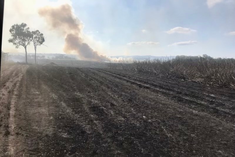 Smoke and burnt crops under a light blue sky.