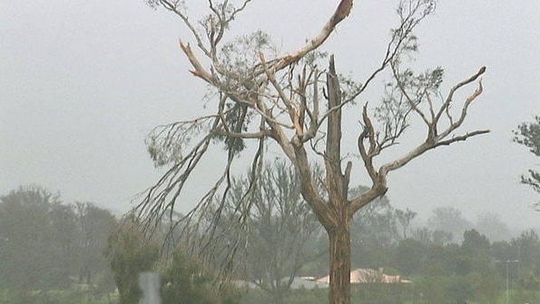 Damage: a mini tornado has damaged trees, sheds and outdoor structures near Murrumbateman.