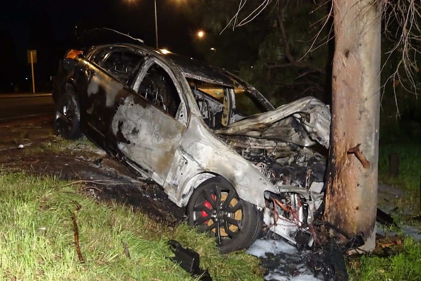 A car hit a tree in the Perth suburb of Thronlie on Garden St