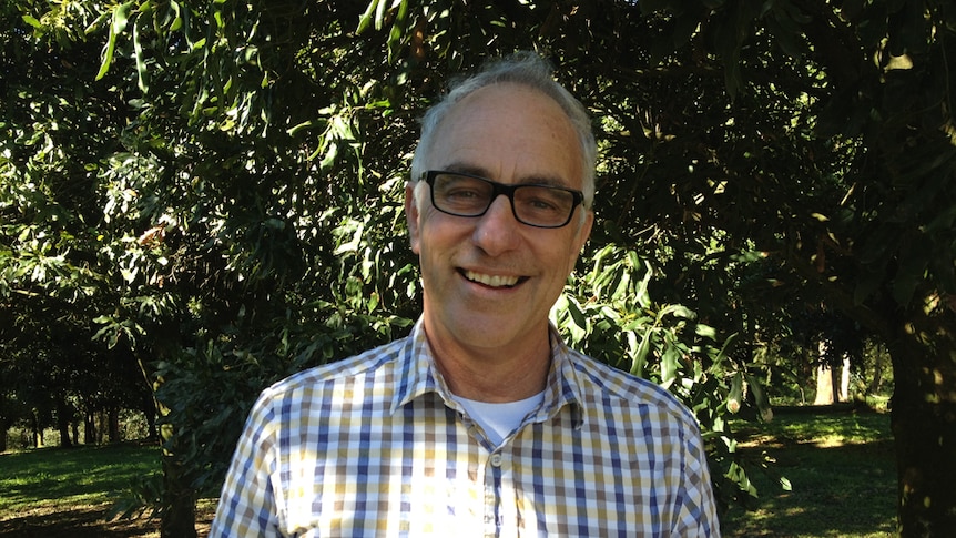 Australian Macadamia Society's chief executive officer in an orchard in northern New South Wales.