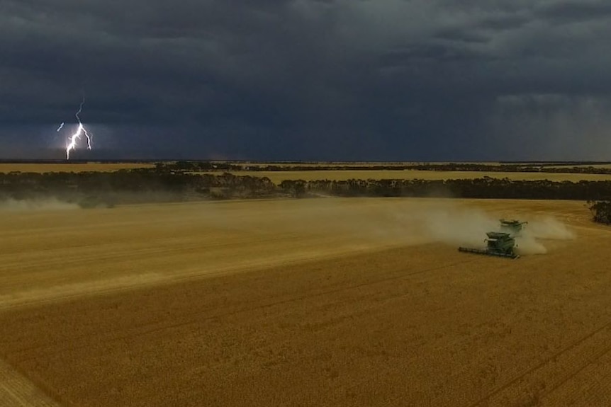 lightning bolt harvest