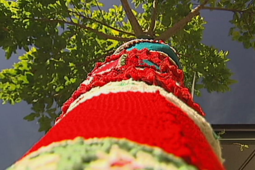 Tree decorated with knitting in Flinders Street in Townsville's CBD in December 2014