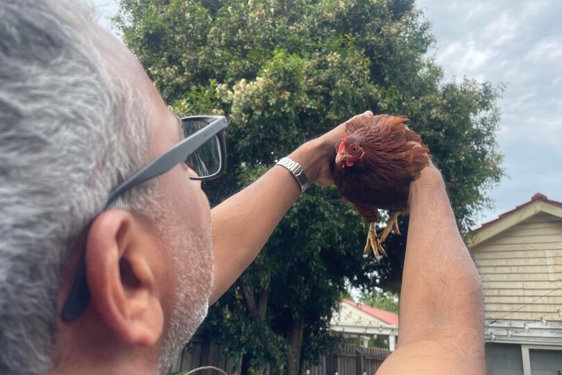 A man holds a chook up to the sky.
