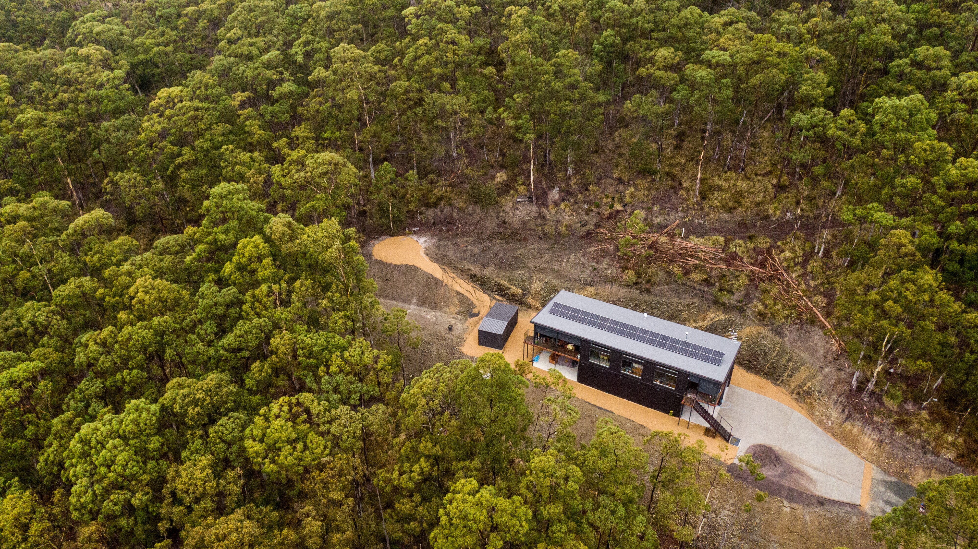 A black colourbond house built in the bush.