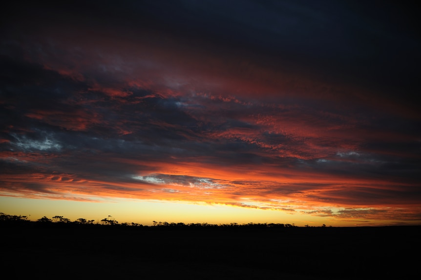 The gold and orange remnants of sunset.