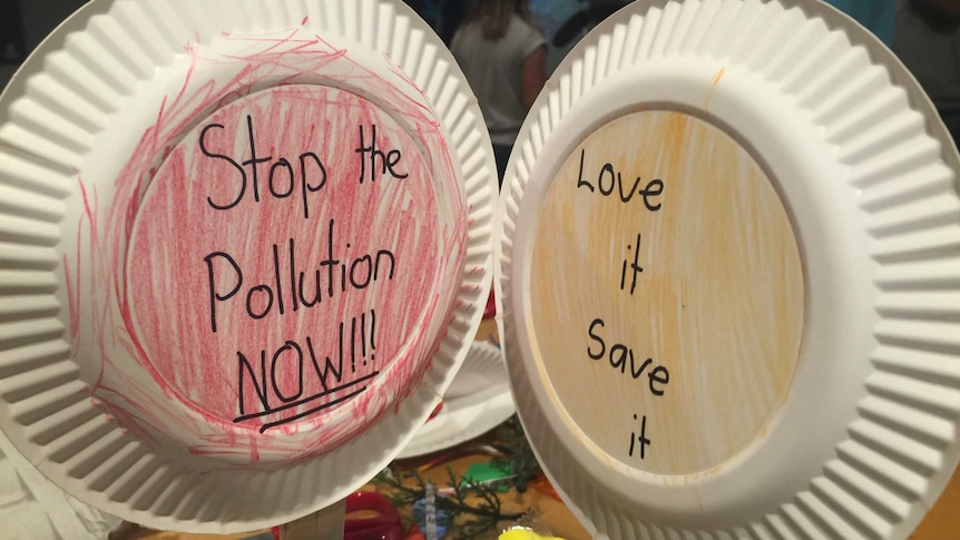 Paper plates have 'stop the pollution now' and 'love it, save it' written on them as mini placards.