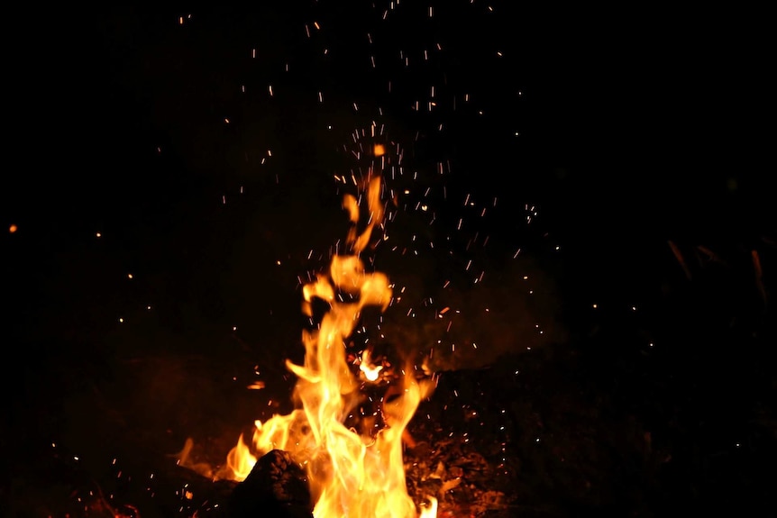 A fire flame on a dark background.