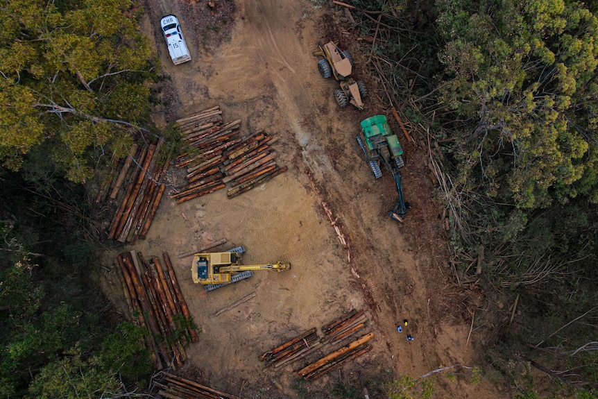 Bulldozers and a police vehicle in a birds eye photo at Newry State Forest 