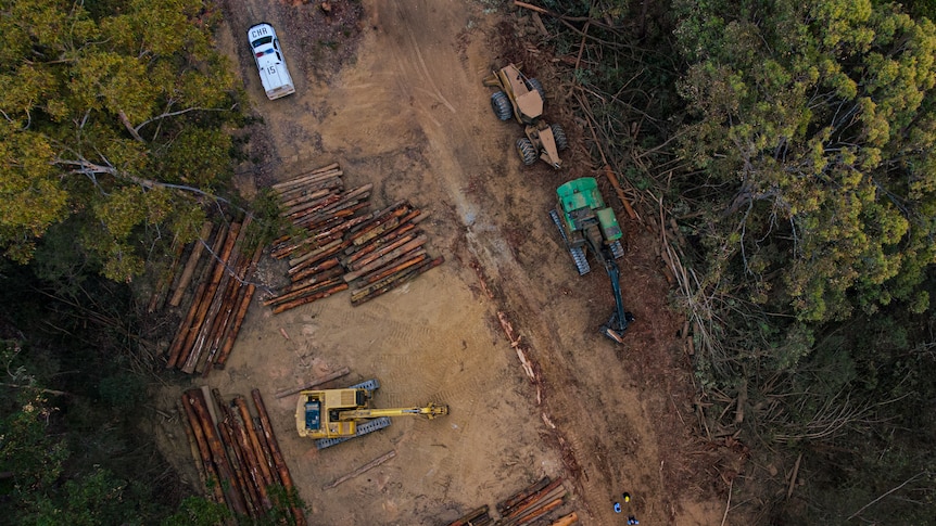 Bulldozers and a police vehicle in a birds eye photo at Newry State Forest 