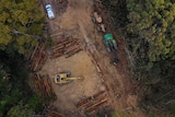 Bulldozers and a police vehicle in a birds eye photo at Newry State Forest 