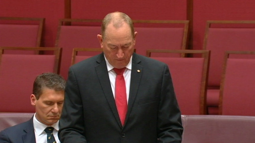 forsigtigt Empirisk fossil MPs condemn Fraser Anning for controversial maiden speech which called for  a ban on Muslims - ABC News