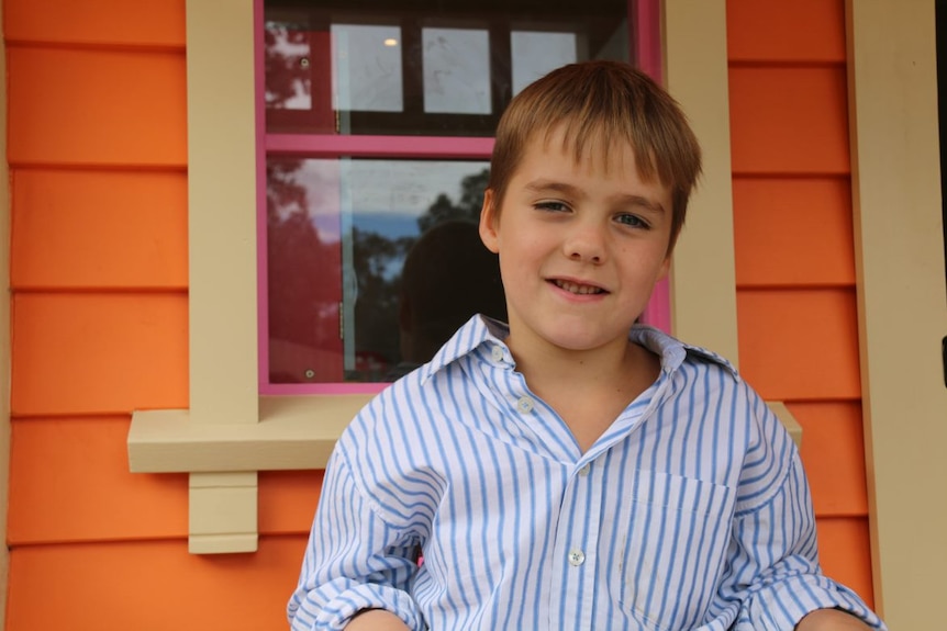 A young boy smiles at the camera from the balcony of a wooden cubby house.