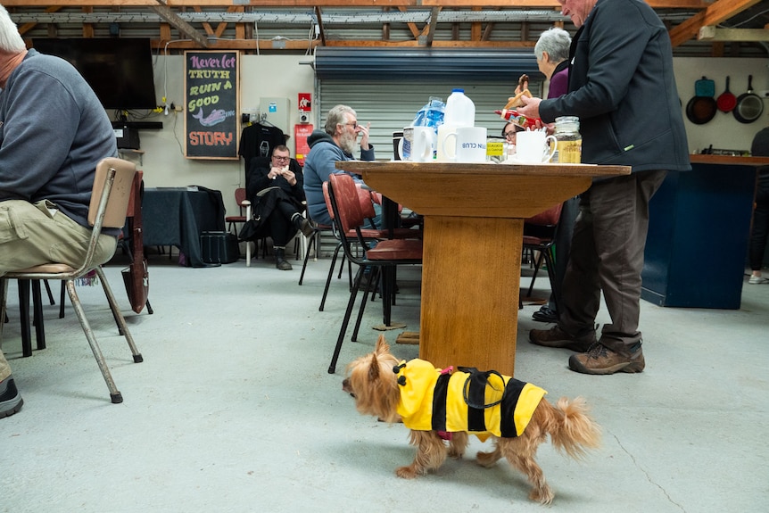A silky terrier dressed a in a  black and yellow bee suit walks amongst people eating and chatting