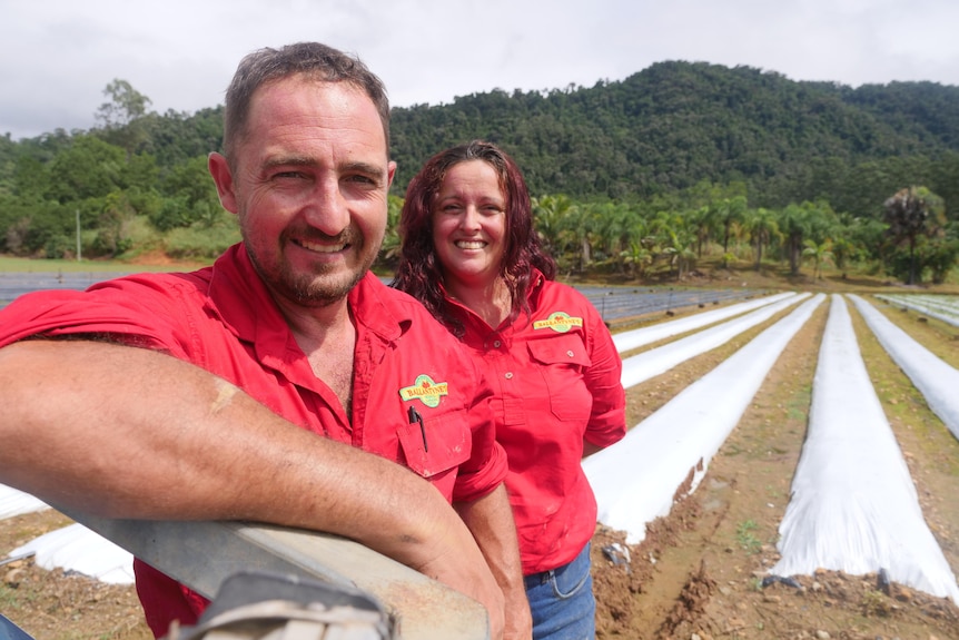 Tim Molloy and Rose Brady standing on Ballantyne's Strawberry Farm, rows of white plastic are visible in a field behind them