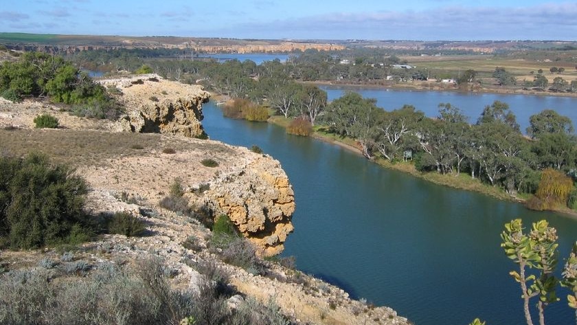 View of the River Murray from the cliffs at Walkers Flat, July 2007