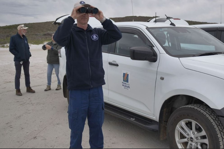 A man standing next to a white four wheel drive looks through a pair of binoculars