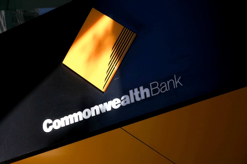 The Commonwealth Bank's earnings fell by less than analysts had feared, sending its share price higher.