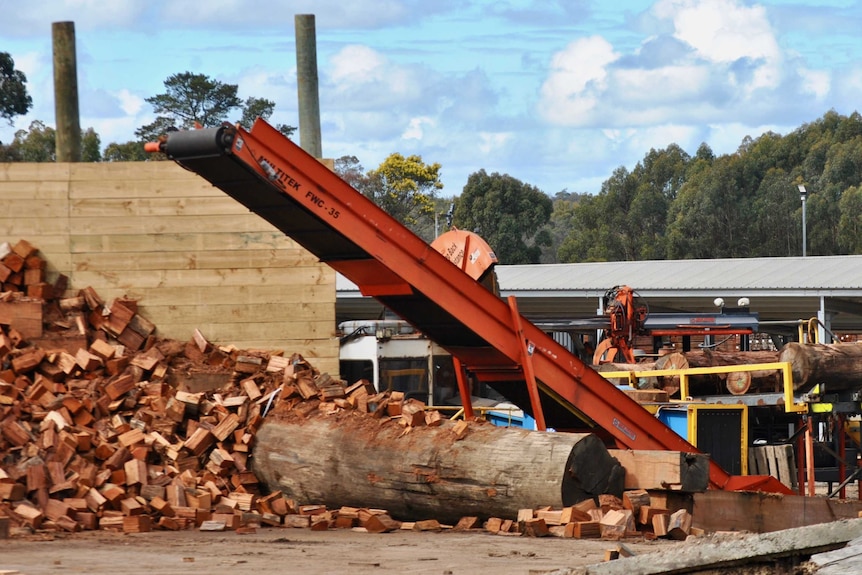 Jarrah logs being cut up.