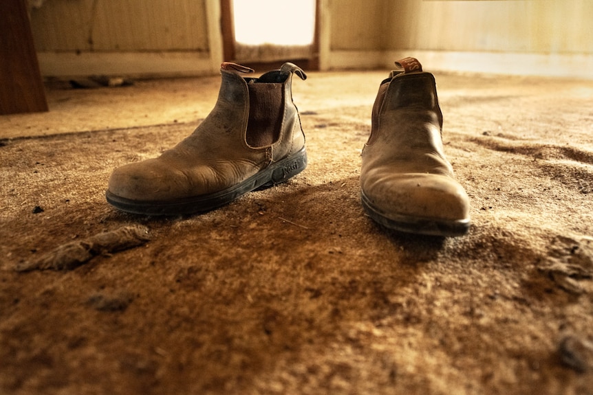 A photograph of an old pair of boots.