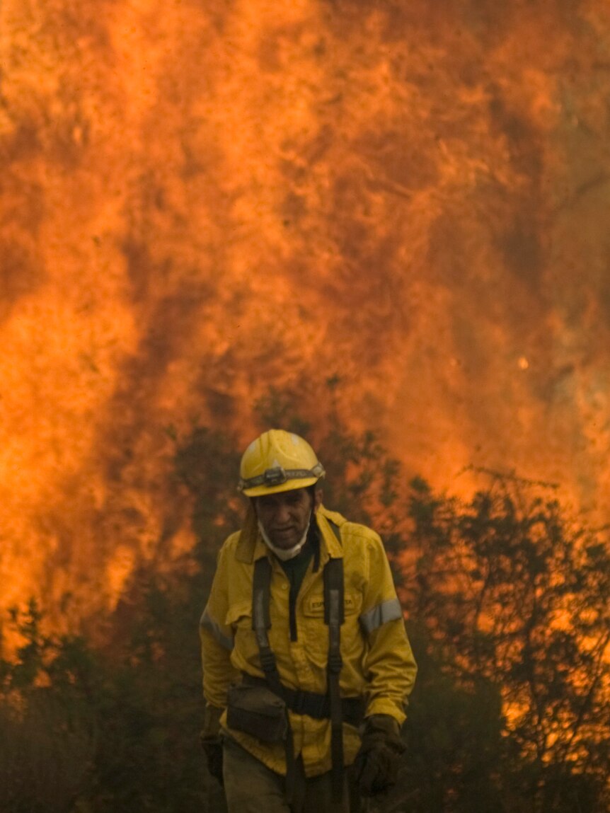 Firefighters battles bushfire in Spain