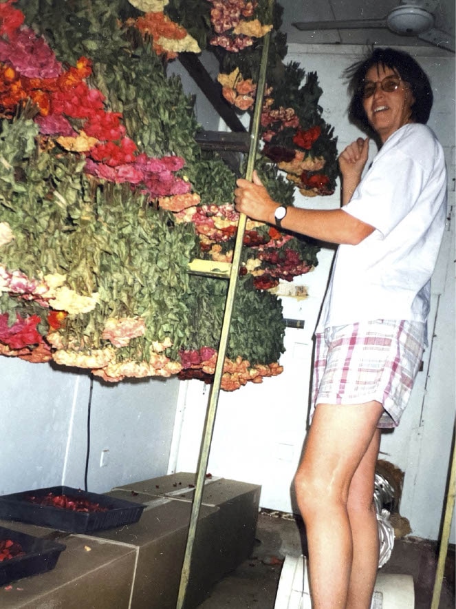 A woman with a dark bob, wearing a white t-shirt and shorts, stands by rows of roses hung upside down.