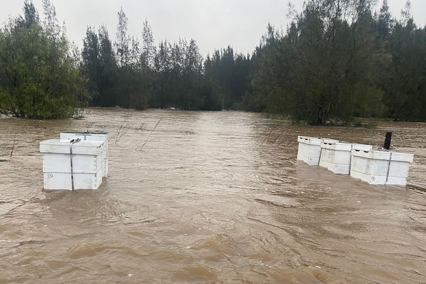Two rows of large white boxes sitting in brown floodwaters
