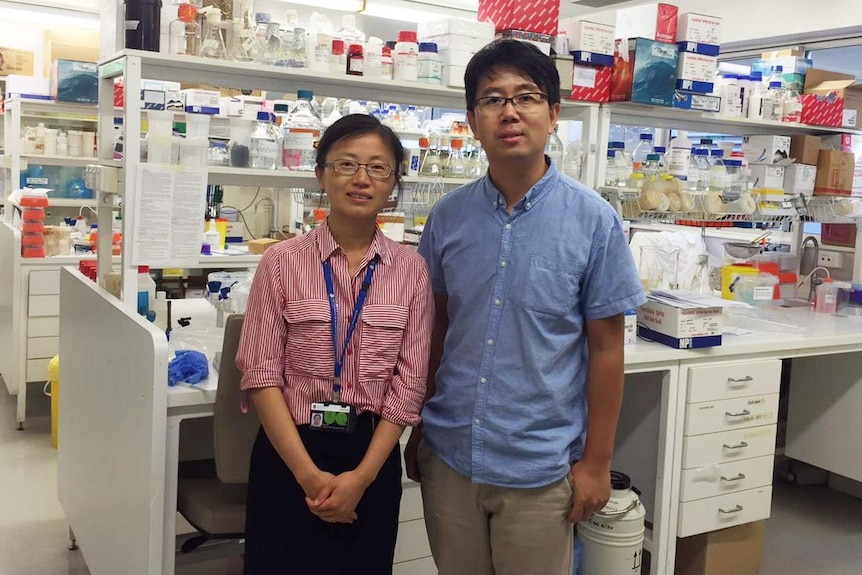 Dr Min Jim and Dr Jianhua Guo stand in front of shelves of bottles and equipment in their laboratory.