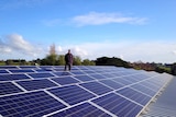A woman stands on a solar grid on a shed roof