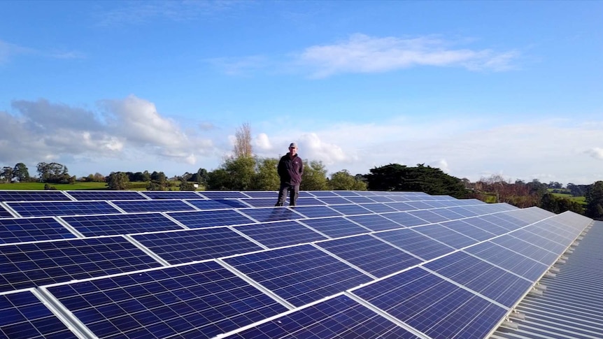 A woman stands on a solar grid on a shed roof