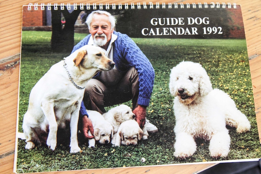 A groups shot of the first labradoodles.