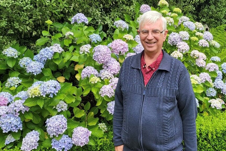 A man stands in front of blue and purple hydrangeas in his backyard. 