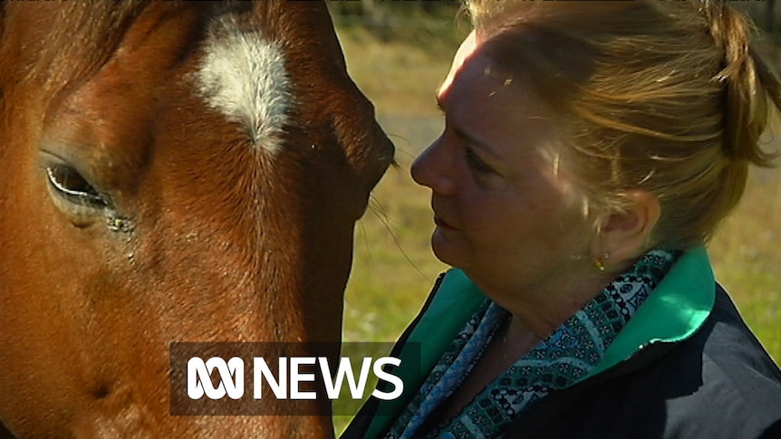 Horse therapy helps abuse survivors move on