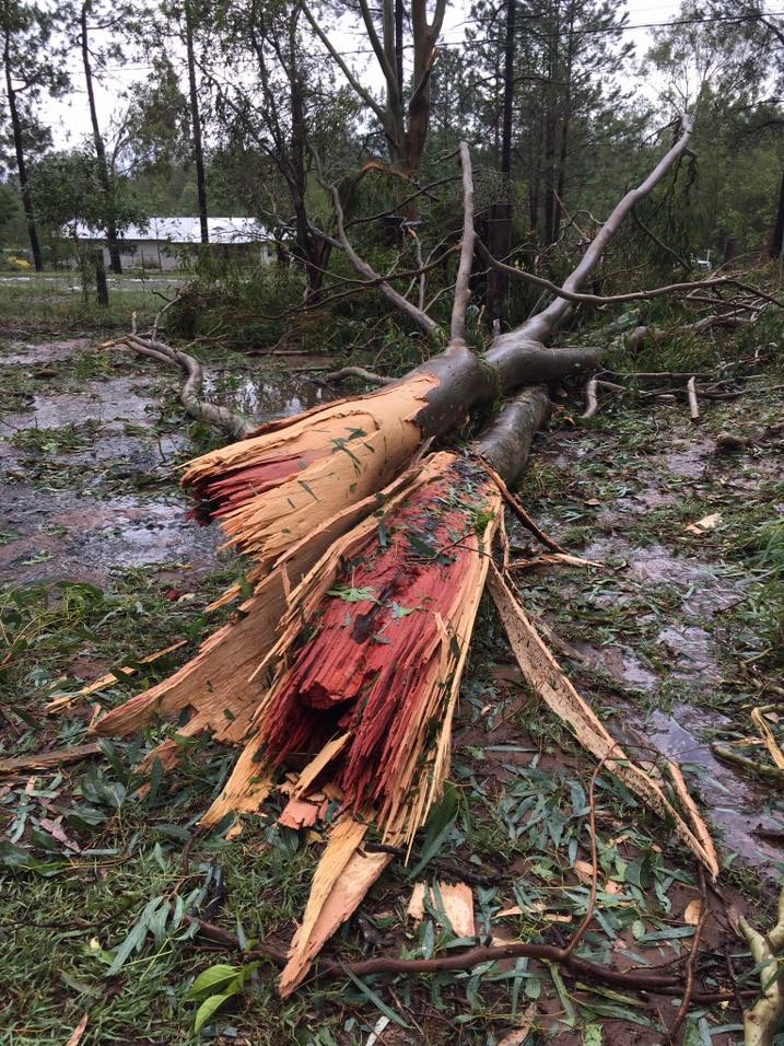 Damage from a severe thunderstorm near Esk, on the outskirts of Brisbane, on March 14, 2017