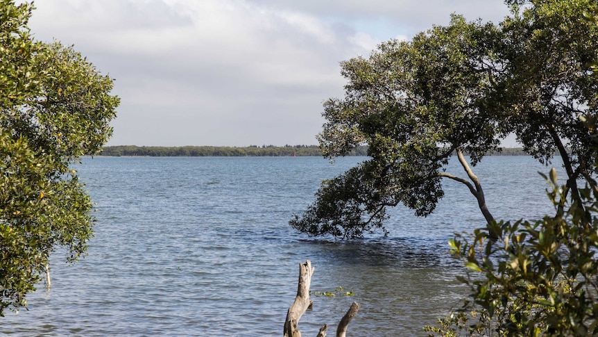 The view from Fern Bay looking towards Fullerton Cove.