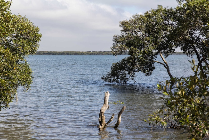 The view from Fern Bay looking towards Fullerton Cove.