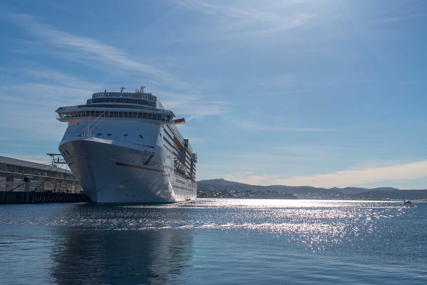 Cruise ship docked in Hobart