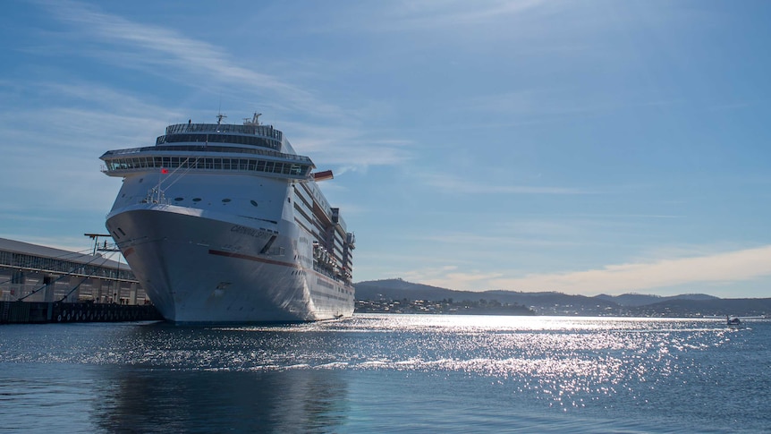 Cruise ship docked in Hobart