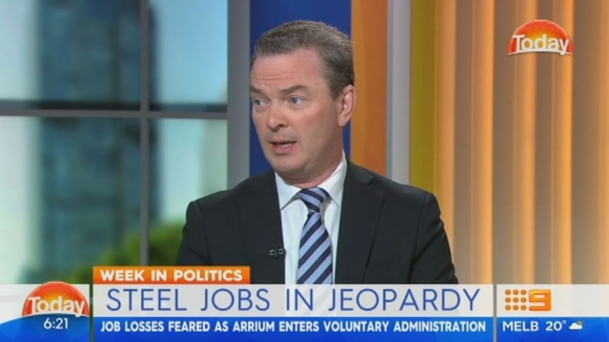 Christopher Pyne gives strongest indication yet subs will be built with Australian steel