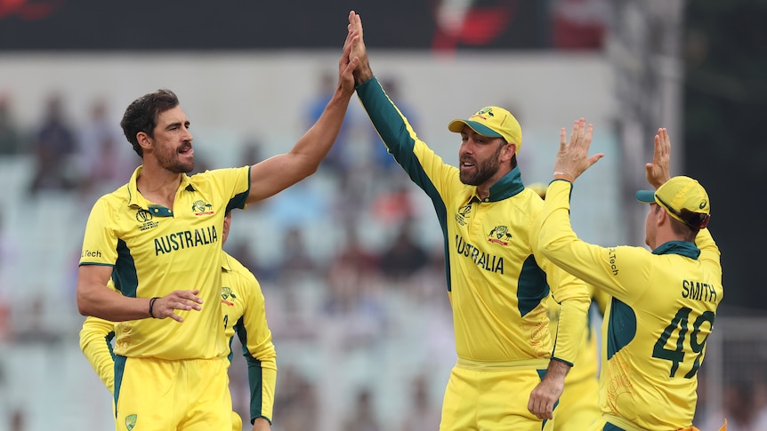 Mises à jour en direct : demi-finale de la Coupe du monde de cricket : Australie contre Afrique du Sud à Eden Gardens à Calcutta